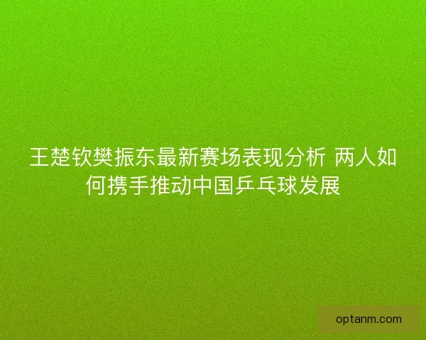 王楚钦樊振东最新赛场表现分析 两人如何携手推动中国乒乓球发展