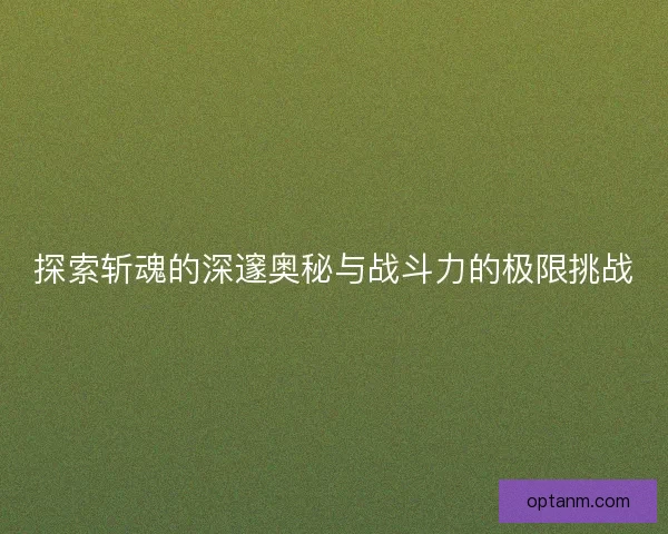探索斩魂的深邃奥秘与战斗力的极限挑战