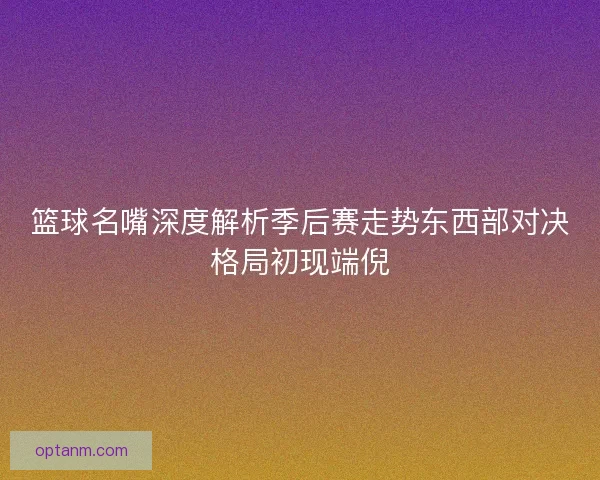 篮球名嘴深度解析季后赛走势东西部对决格局初现端倪