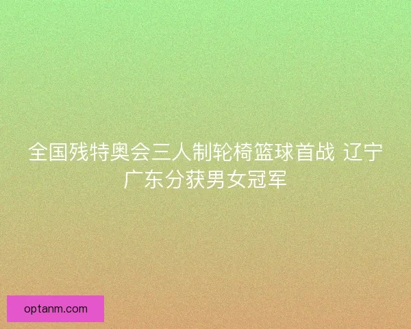 全国残特奥会三人制轮椅篮球首战 辽宁广东分获男女冠军 全国残特奥会三人制轮椅篮球首战 辽宁广东分获男女冠军